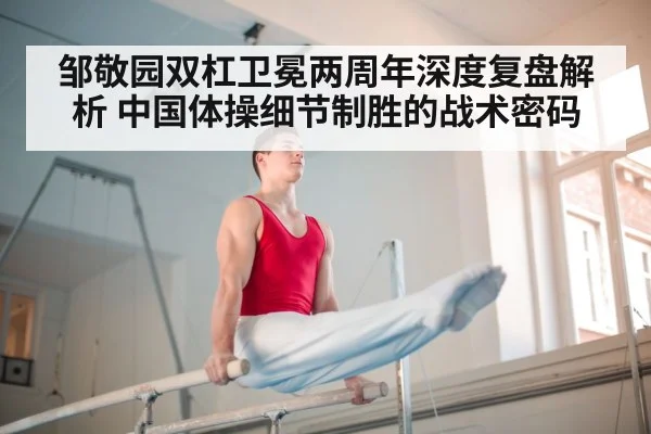 邹敬园双杠卫冕两周年深度复盘解析 中国体操细节制胜的战术密码